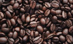Con café y cacao, Ecuador es pionero mundial en la producción libre de deforestación