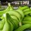 ECUADOR: Hoy se inaugura Banana Time Guayaquil 2024